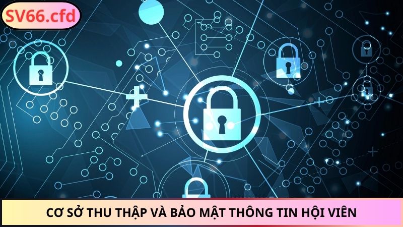 Cơ sở thu thập và bảo mật thông tin hội viên