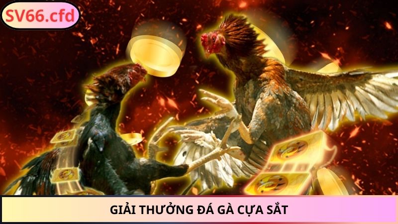 Giải đá gà cựa sắt