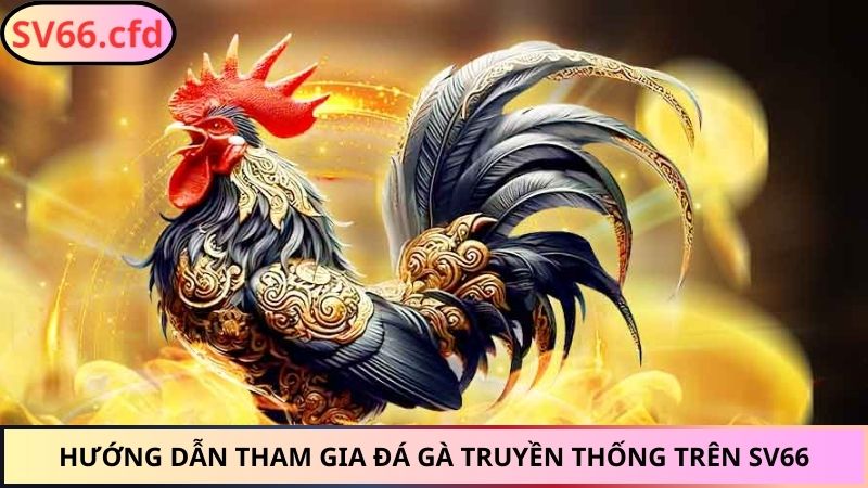 Hướng dẫn tham gia đá gà truyền thống trên SV66